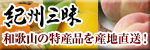 和歌山みかんを産地直送【紀州三昧】