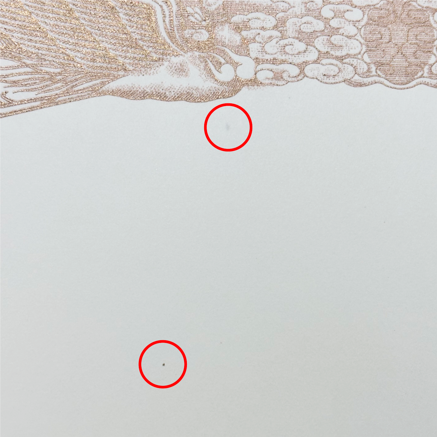 用紙の繊維の写真1