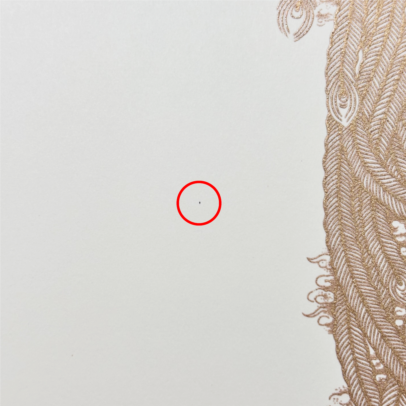 用紙の繊維の写真2