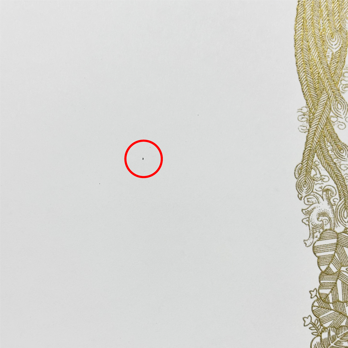 用紙の繊維の写真3